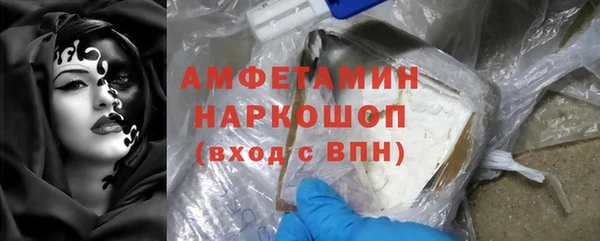 твердый Арсеньев