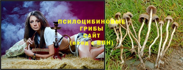 твердый Арсеньев