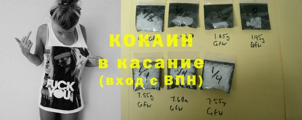 твердый Арсеньев
