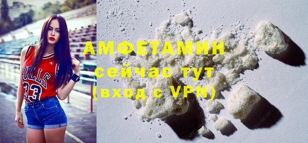 твердый Арсеньев