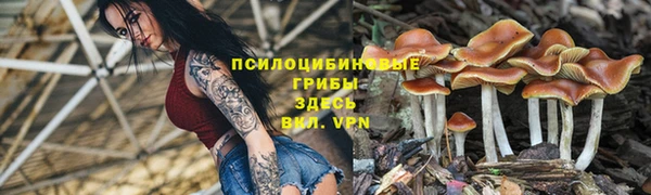 гидропоника Армянск